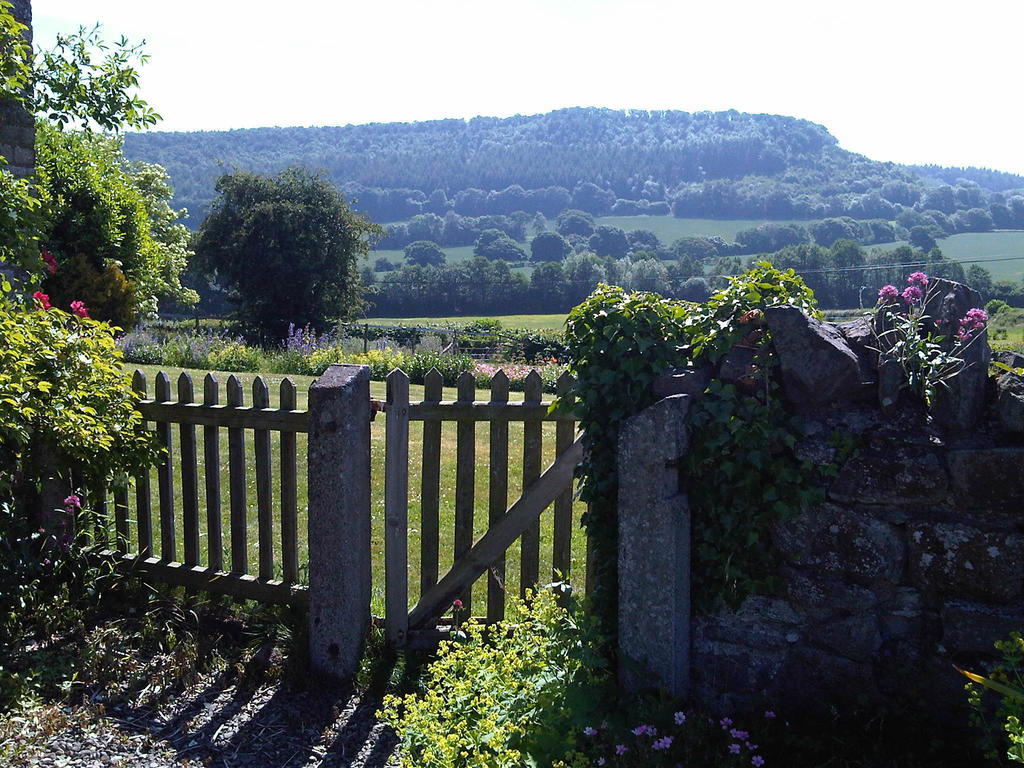 לינה וארוחת בוקר Leintwardine Upper Letton Farm מראה חיצוני תמונה